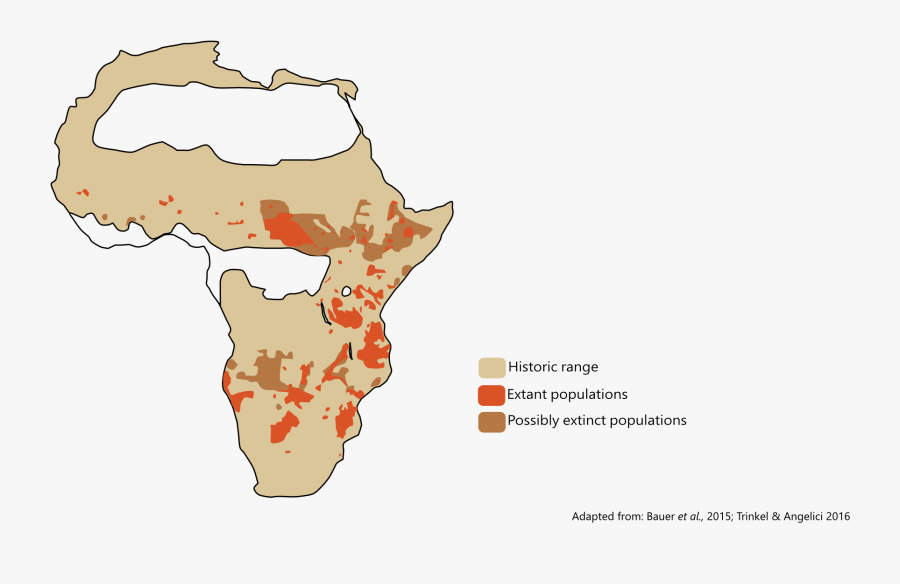 Image, Transparent Clipart