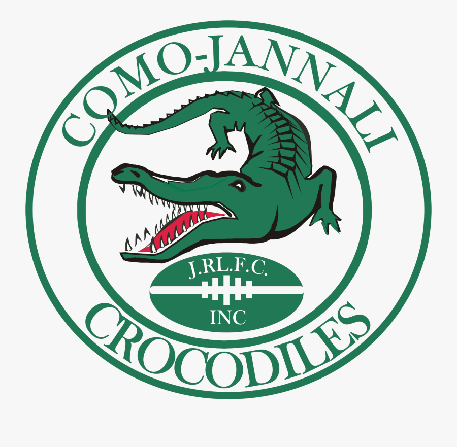 Logo - Willes Little Flower School And College, Transparent Clipart