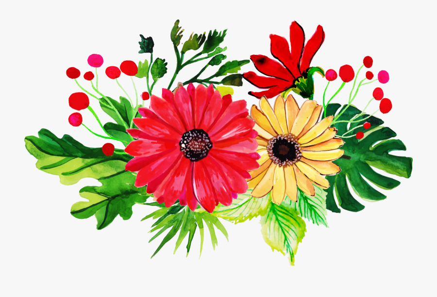 African Daisy, Transparent Clipart