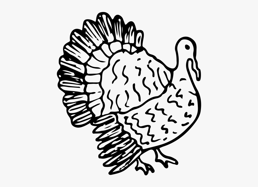 Turkey Rubber Stamp"
 Class="lazyload Lazyload Mirage, Transparent Clipart