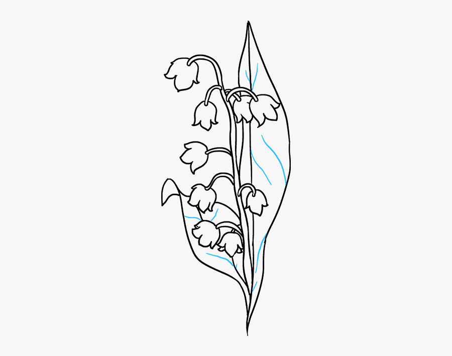 How To Draw Lily Of The Valley - Simple Lily Of The Valley Drawing, Transparent Clipart