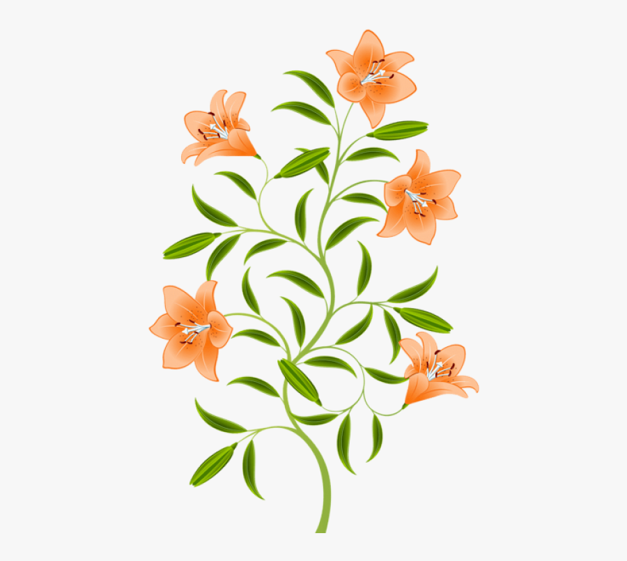 Free Png Download Orange Lily Png Images Background - Tiger Lily Transparent Background, Transparent Clipart