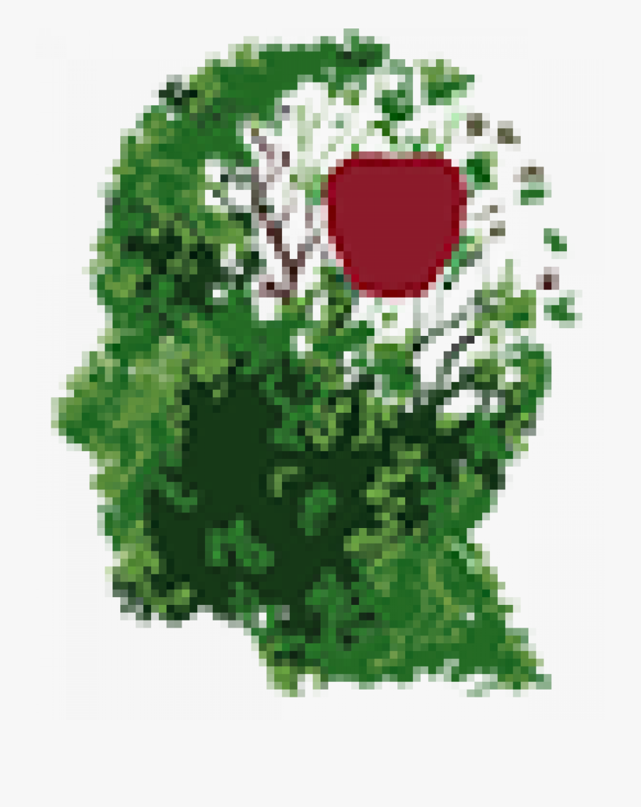 Victoria Frehe-torres, Phd - Dementia Tree, Transparent Clipart