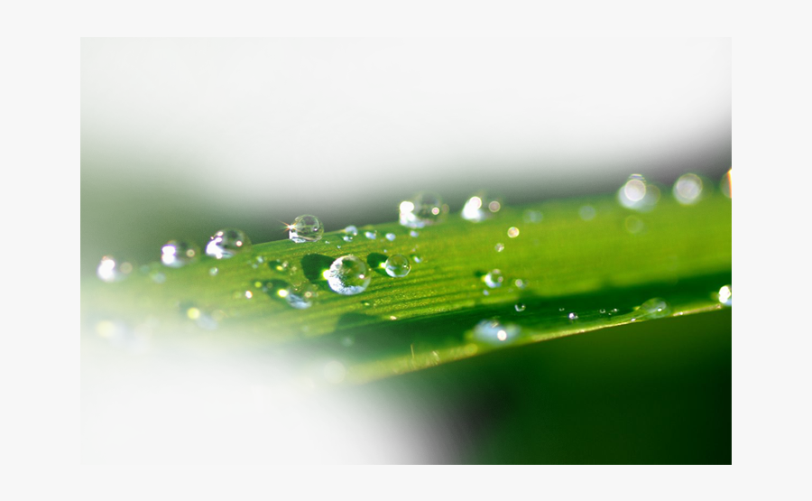 Water Splash Transprent Png Free Download - Portable Network Graphics, Transparent Clipart