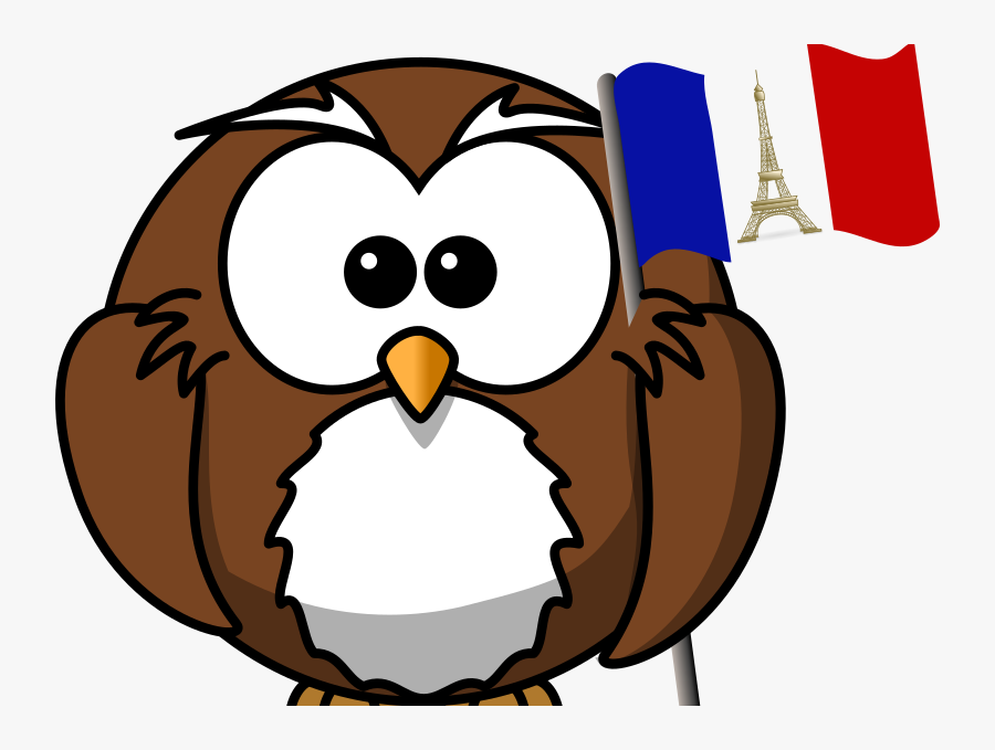 Cartoon Owl Transparent Background, Transparent Clipart