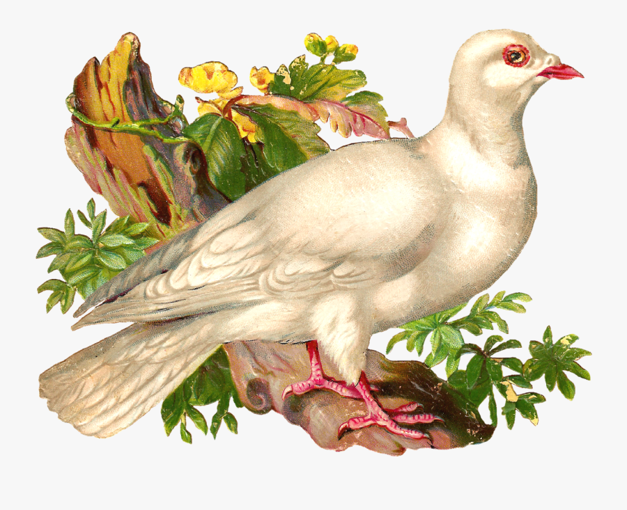 Portable Network Graphics, Transparent Clipart