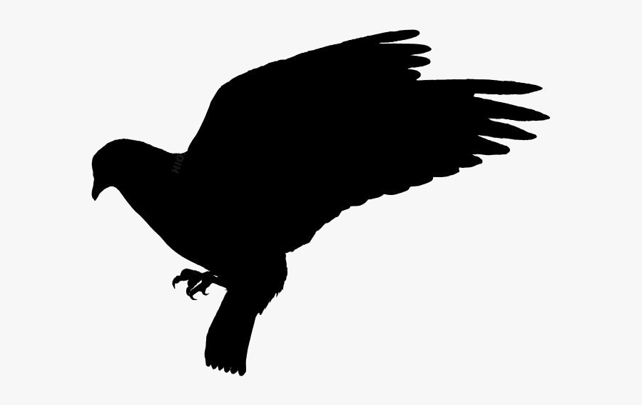 Transparent Pigeon Png Clip Art - Pigeons And Doves, Transparent Clipart