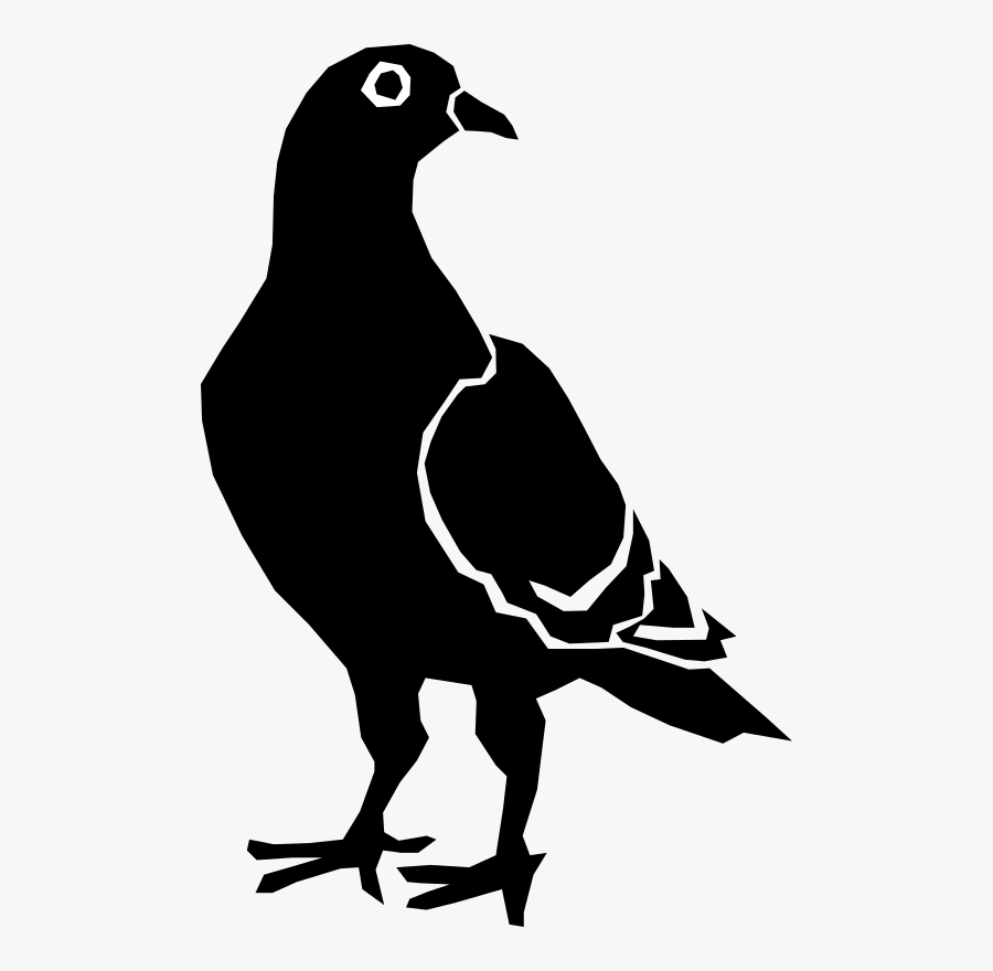 Pigeon - Silhouette Pigeon Clipart, Transparent Clipart