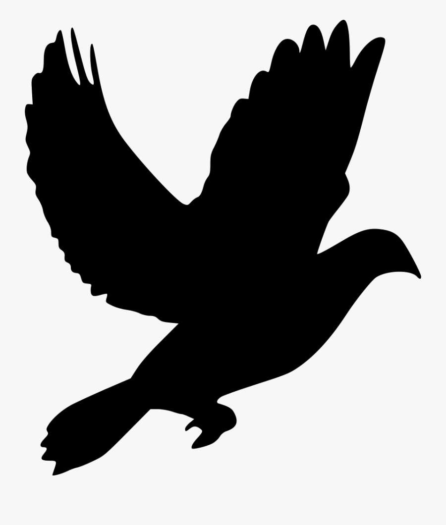 Animal Dove Pigeon Svg Png Icon Free Download Clipart - Pigeon Png Icon, Transparent Clipart