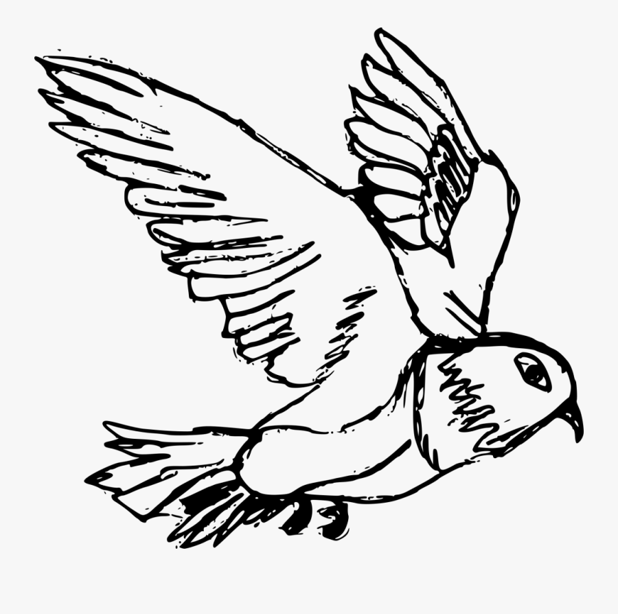 Vertebrate,white,line And White,claw,clip Art,fish - Drawing Png, Transparent Clipart