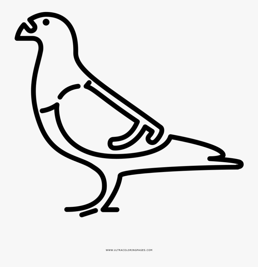 Pigeon Coloring Page - Line Art, Transparent Clipart