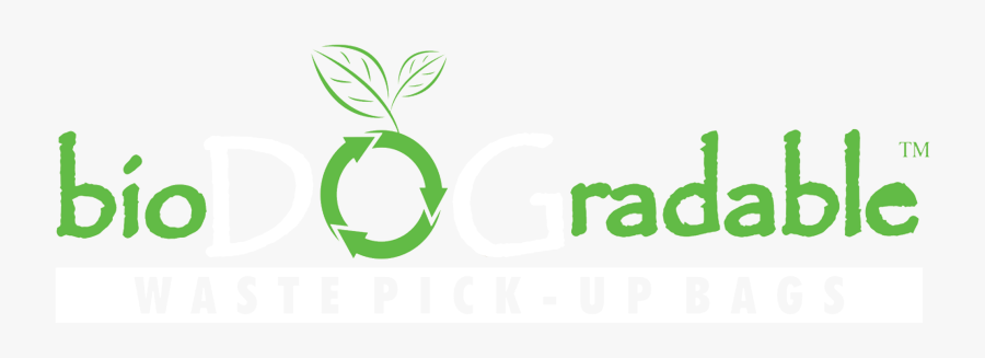 Graphic Design, Transparent Clipart