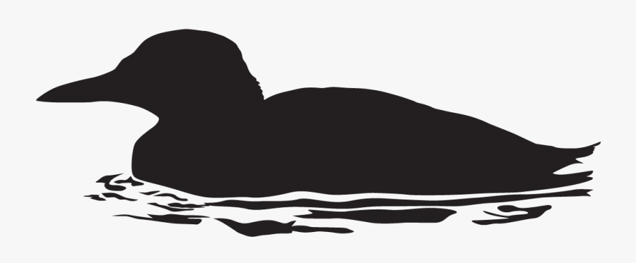 Duck, Transparent Clipart