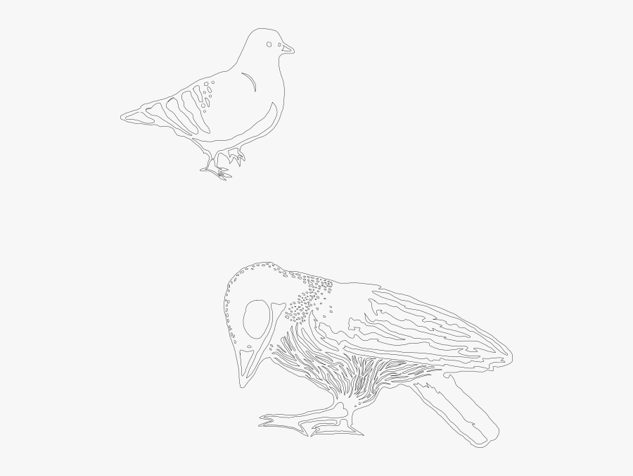 Sketch, Transparent Clipart