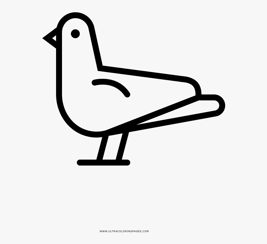 Pigeon Coloring Page - Duck, Transparent Clipart