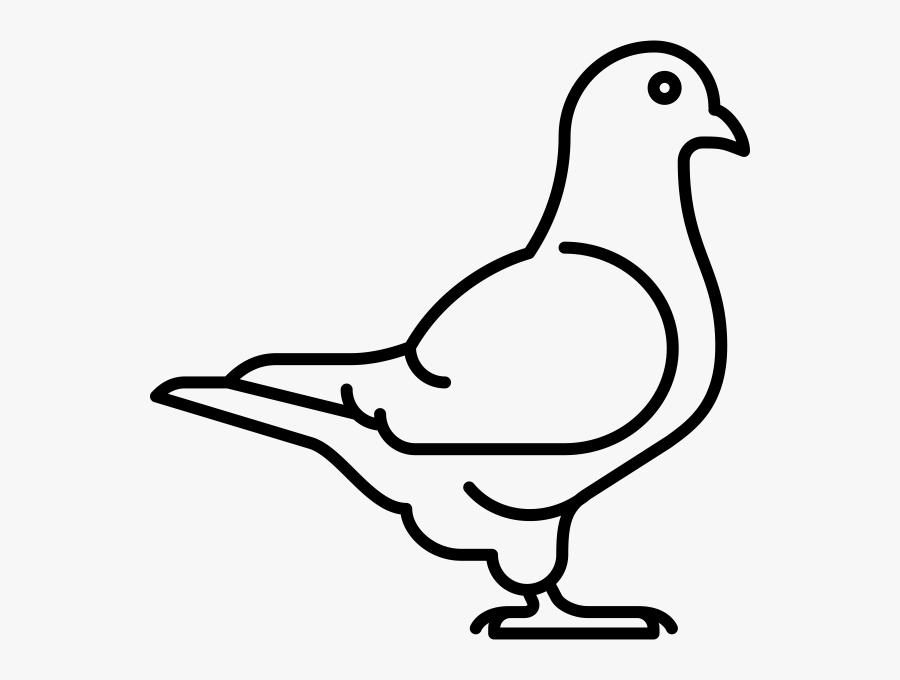 "
 Class="lazyload Lazyload Mirage Cloudzoom Featured - White Pigeon Icon Png, Transparent Clipart