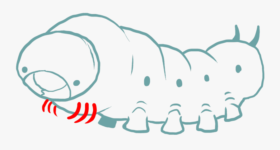 Clip Art, Transparent Clipart