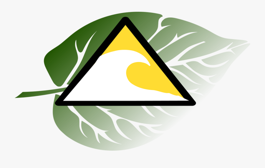 Plant Cell, Transparent Clipart