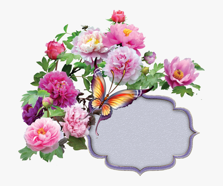 Buon Onomastico Barbara Gif, Transparent Clipart