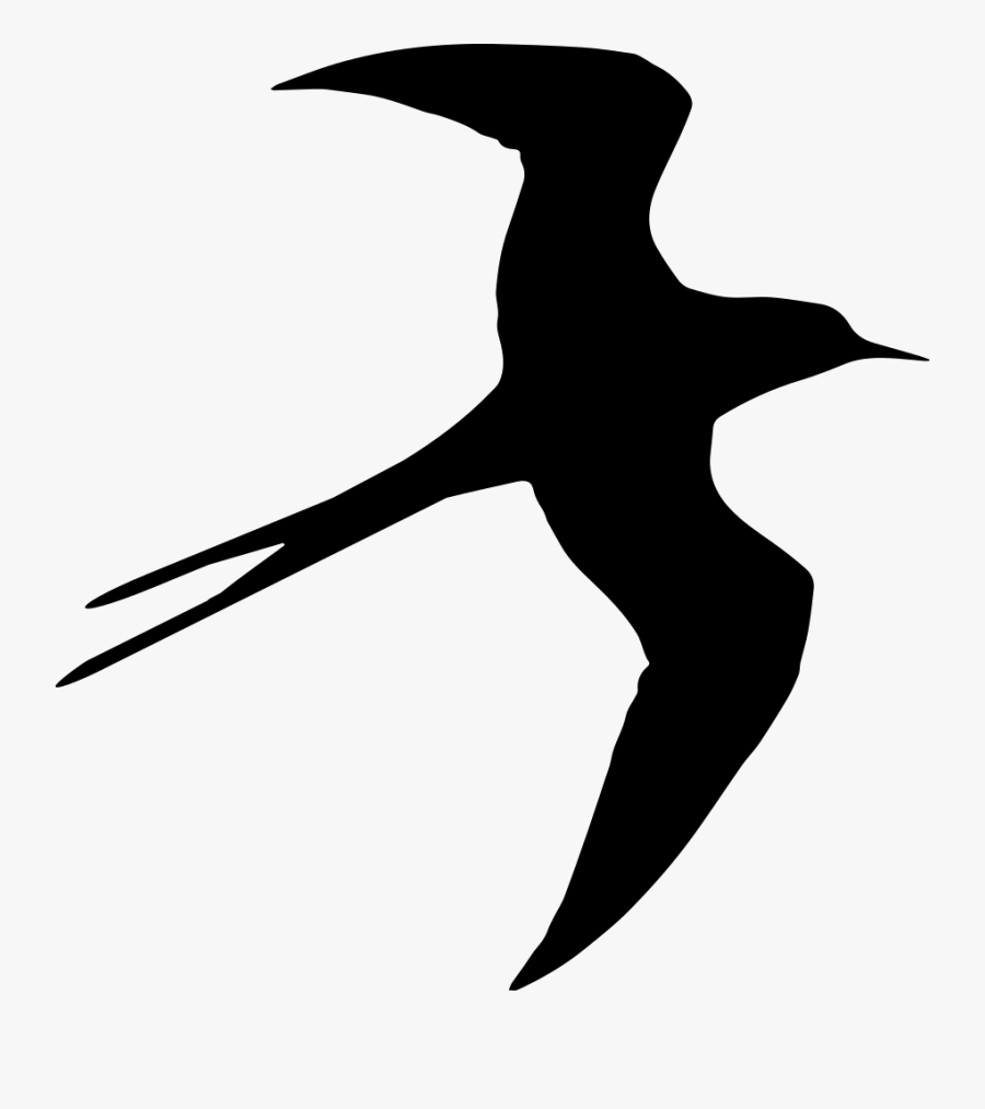 Bird Flying Png - Bird Fly Psd File, Transparent Clipart