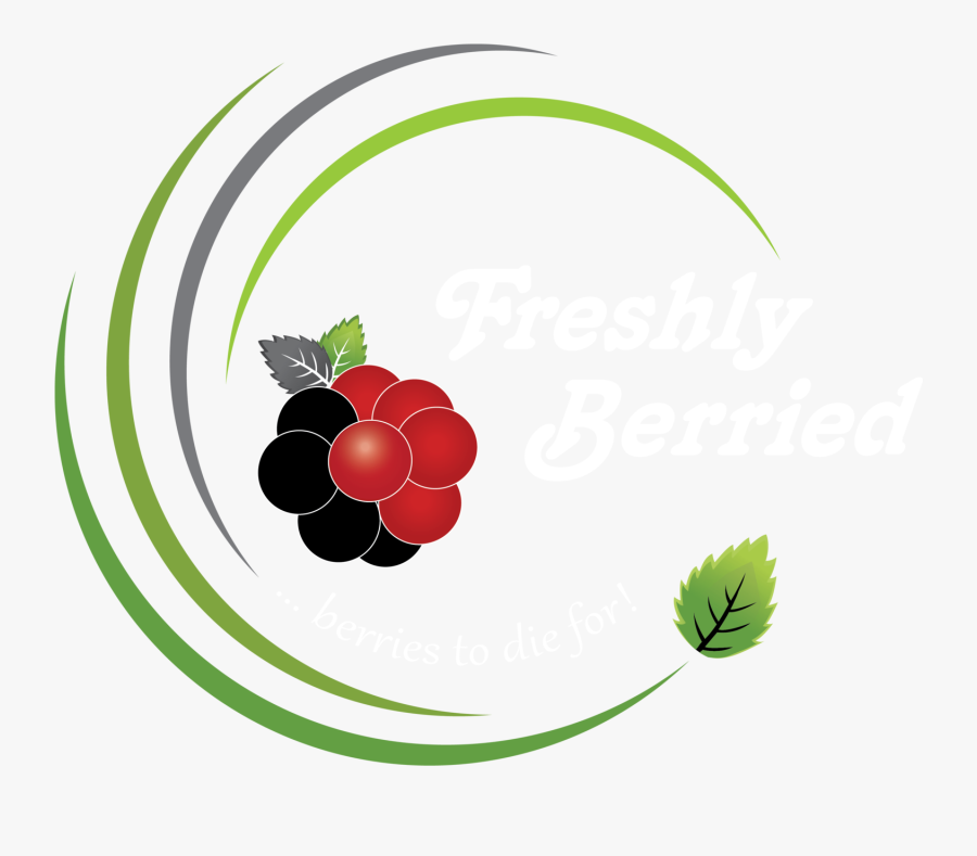 Transparent Blackberry Fruit Clipart, Transparent Clipart