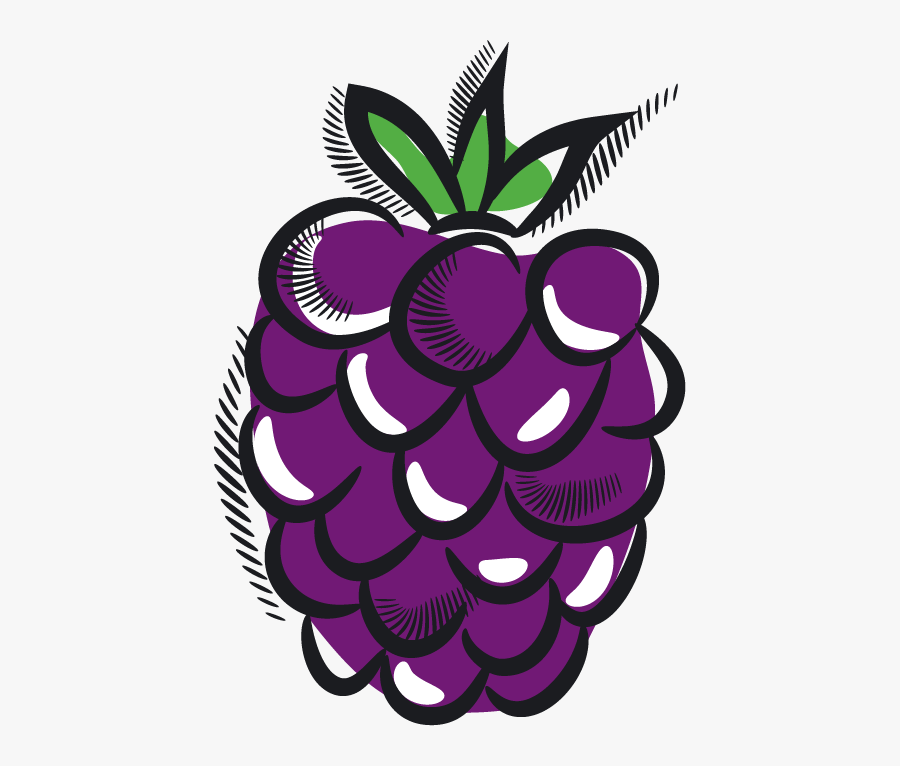 Grape, Transparent Clipart