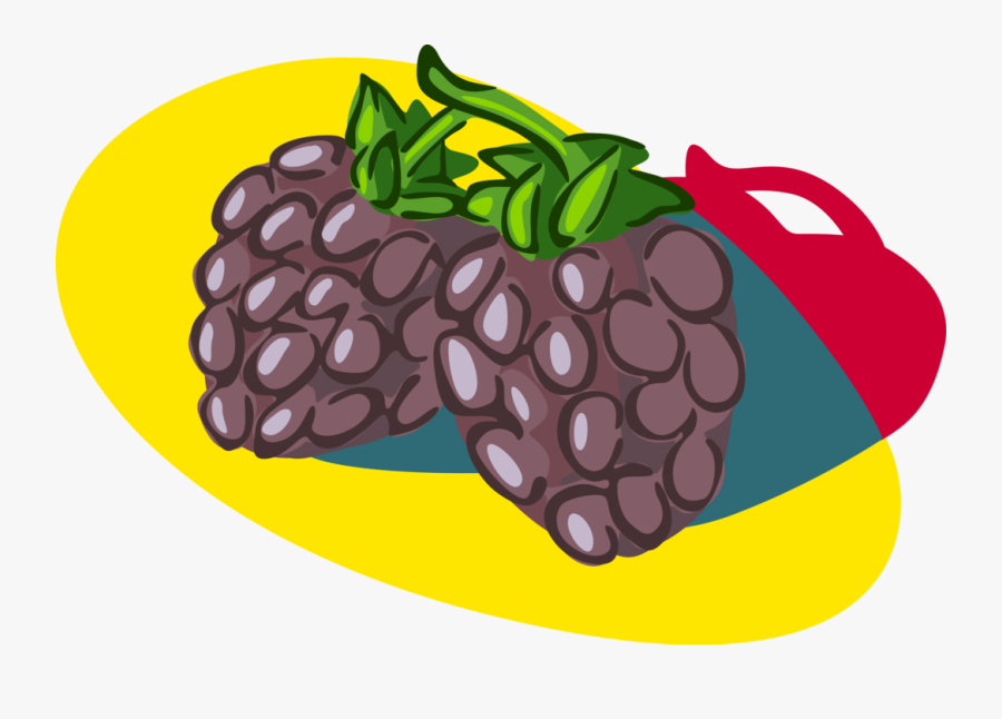 Vector Illustration Of Bramble Fruit Blackberry Edible - Illustration, Transparent Clipart