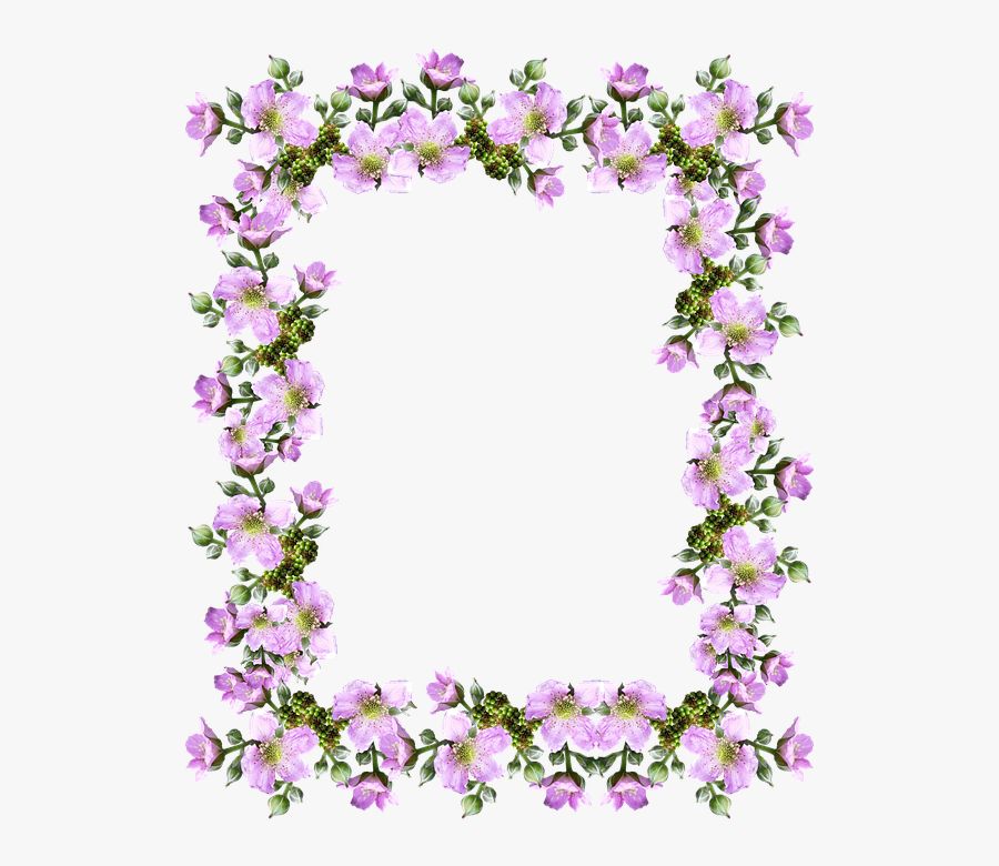 Frame, Border, Pink, Blackberry, Blossom - Bebe Felicitări, Transparent Clipart