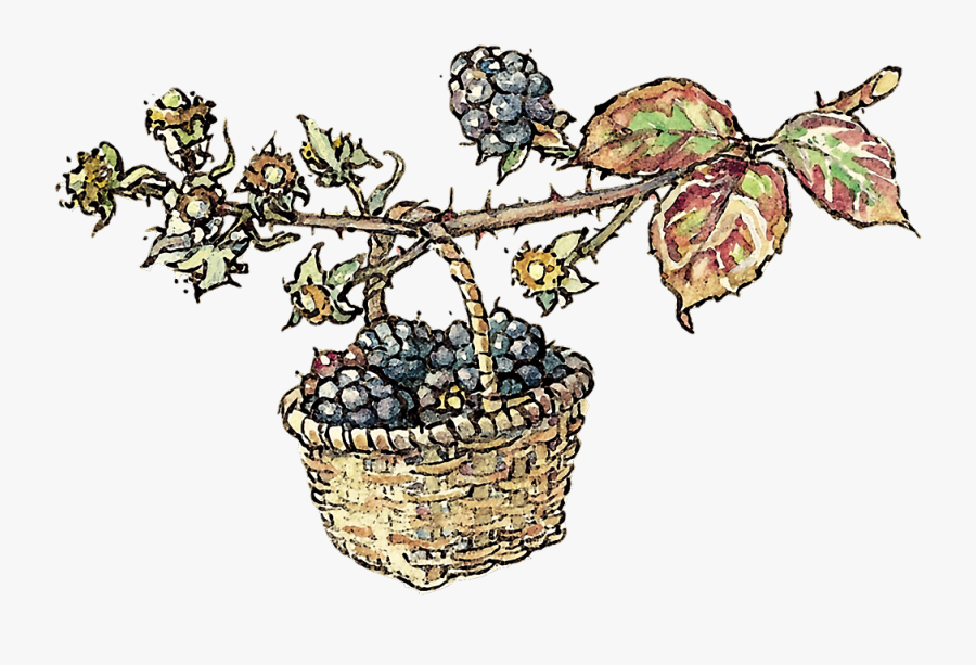 Grape, Transparent Clipart