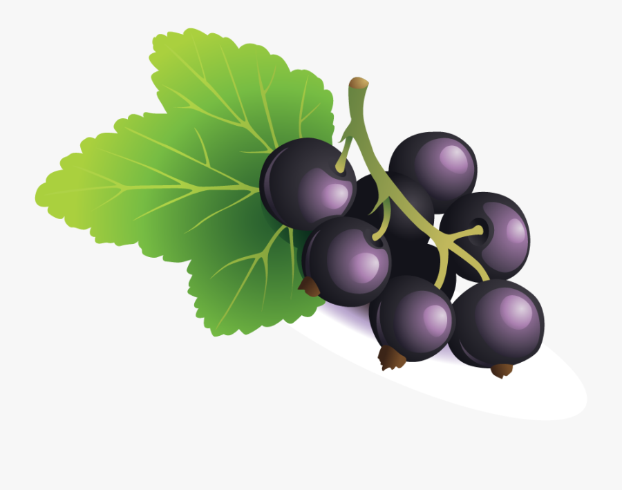 Seedless Fruit, Transparent Clipart