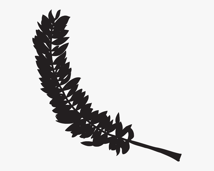 Bird Feather Clip Art - Png ดำ, Transparent Clipart