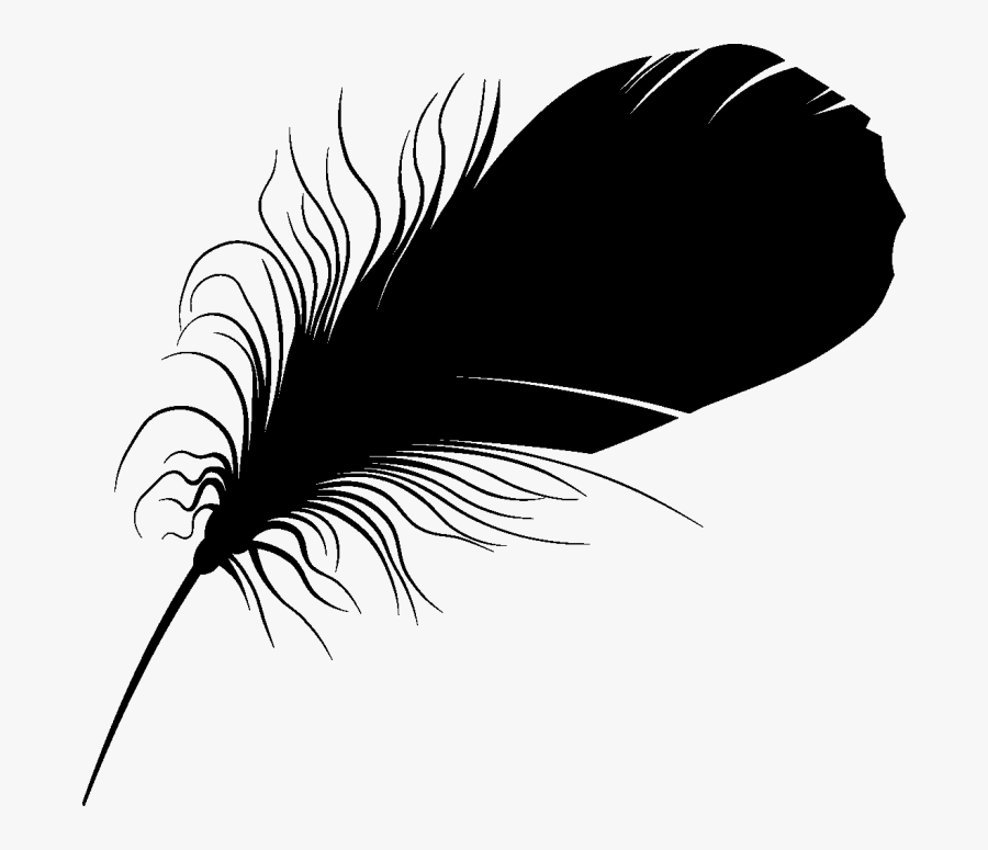 Feather Font Eyelash Beak Silhouette - Png Transparent Feather Silhouette, Transparent Clipart