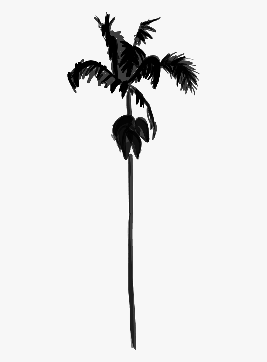 Palm Trees Black & White - Silhouette, Transparent Clipart