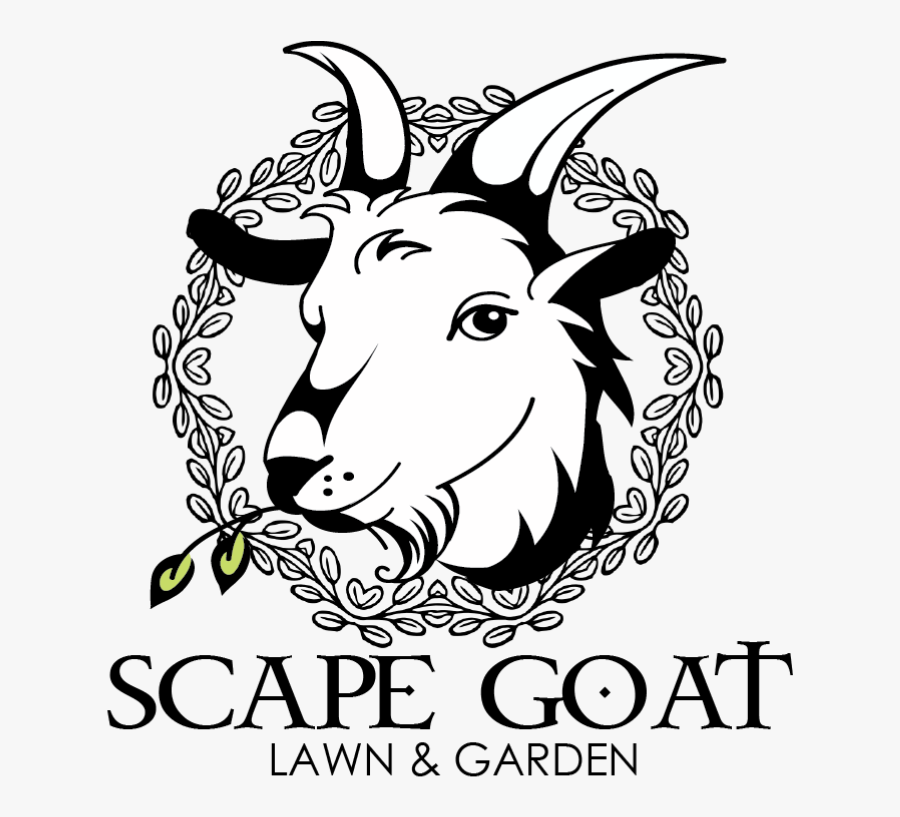 Picture - Public Domain Free Clip Art Goat, Transparent Clipart