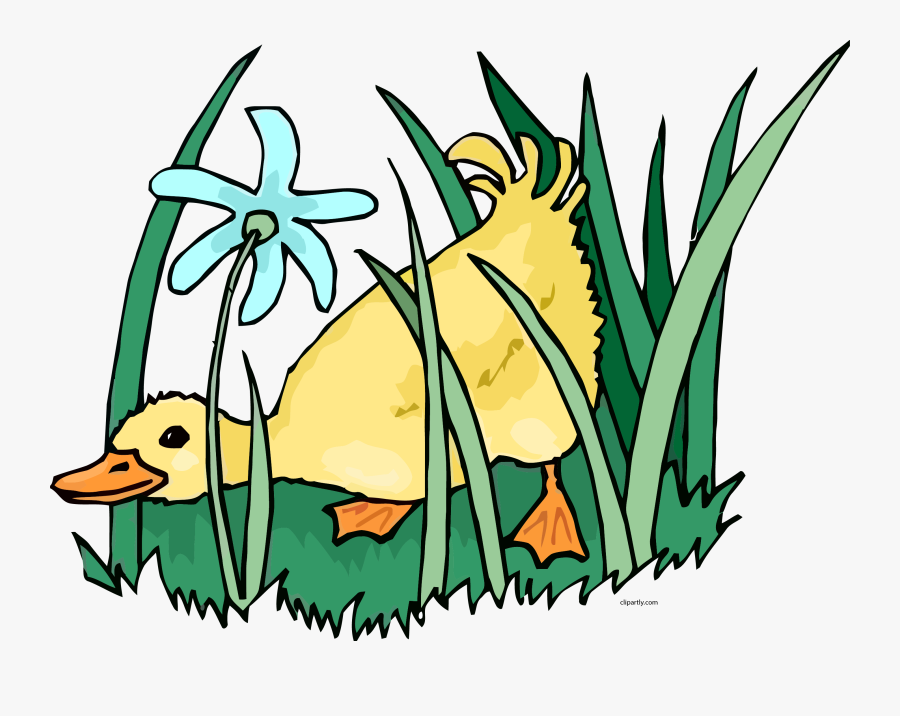Clip Art Ducks Grass Clipart Png - Duck In A Farm Clip Art, Transparent Clipart