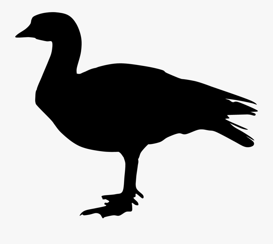 Duck Goose Silhouette Feather Clip Art - Duck, Transparent Clipart