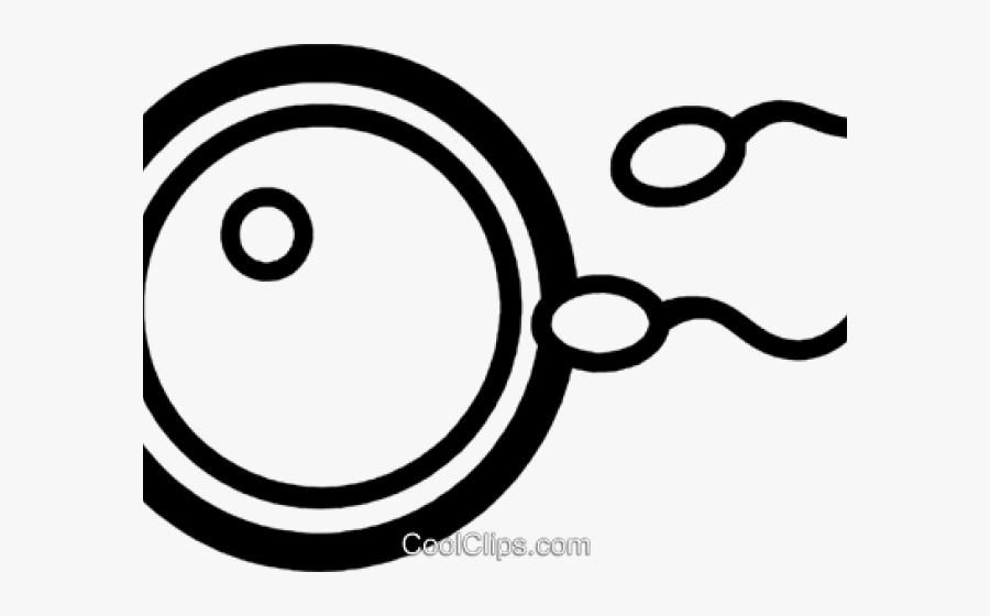 Egg Clipart Sign - Sperm And Egg Illustration, Transparent Clipart