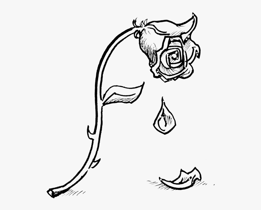 Black And White Drawing Beauty And Beast Free Transparent Clipart Clipartkey