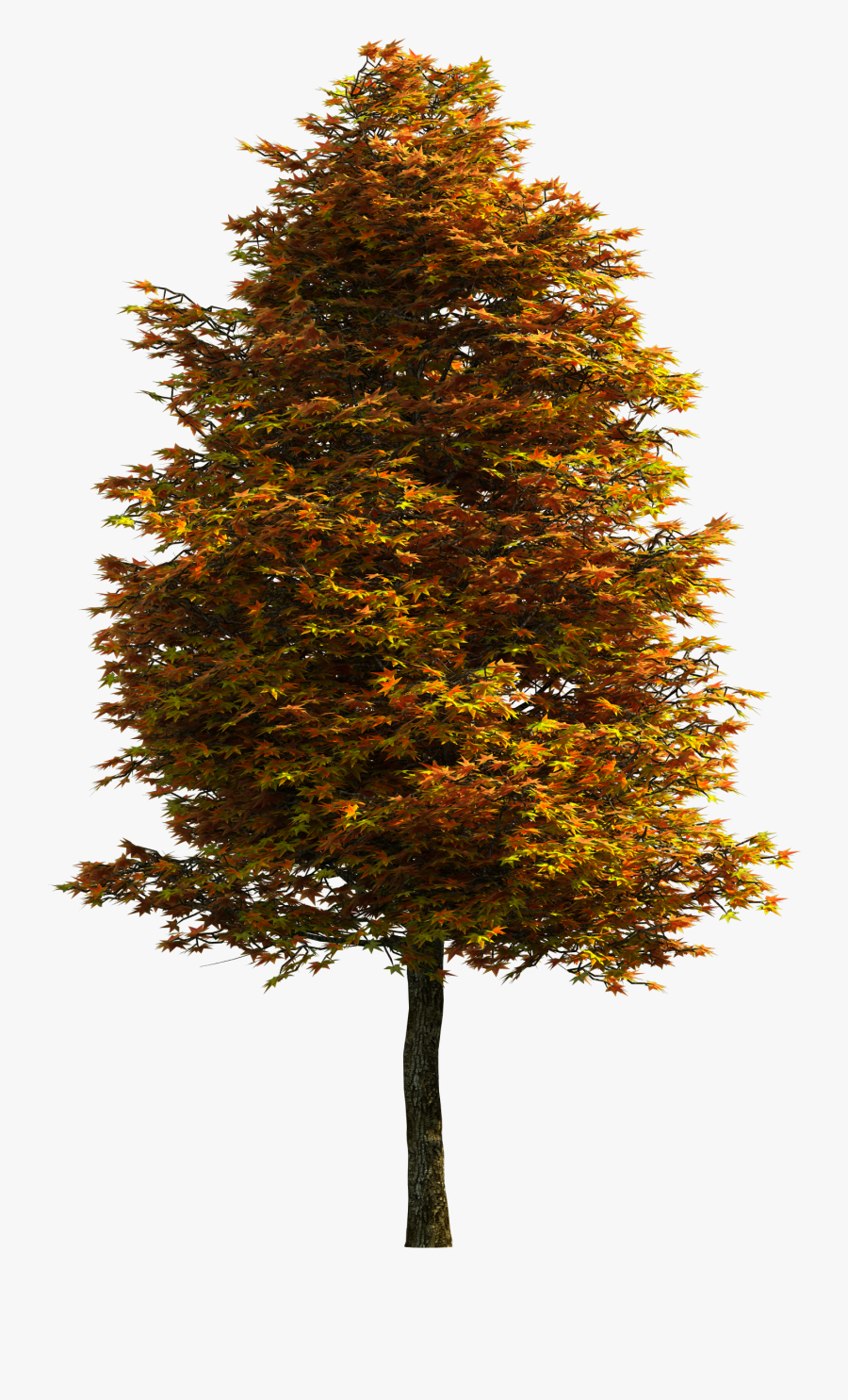 Tree Png Download Free Clipart - Transparent Background Trees Png, Transparent Clipart