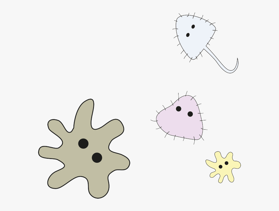 Clip Art, Transparent Clipart