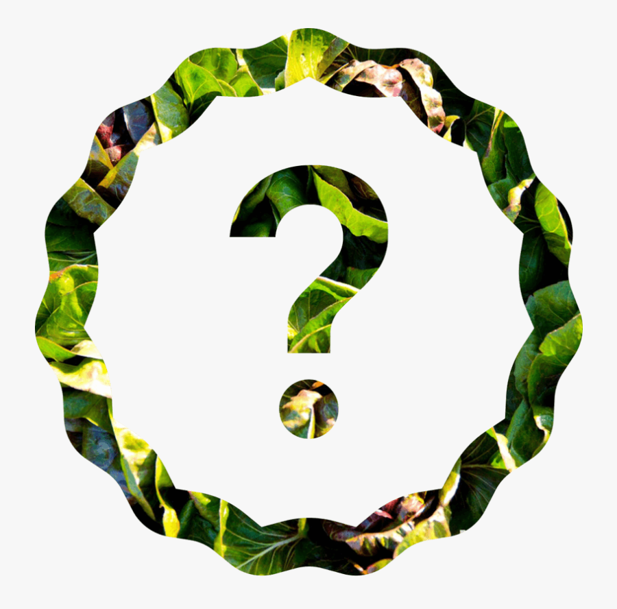 Gratitude Lab Louie Schwartzberg - Circle, Transparent Clipart