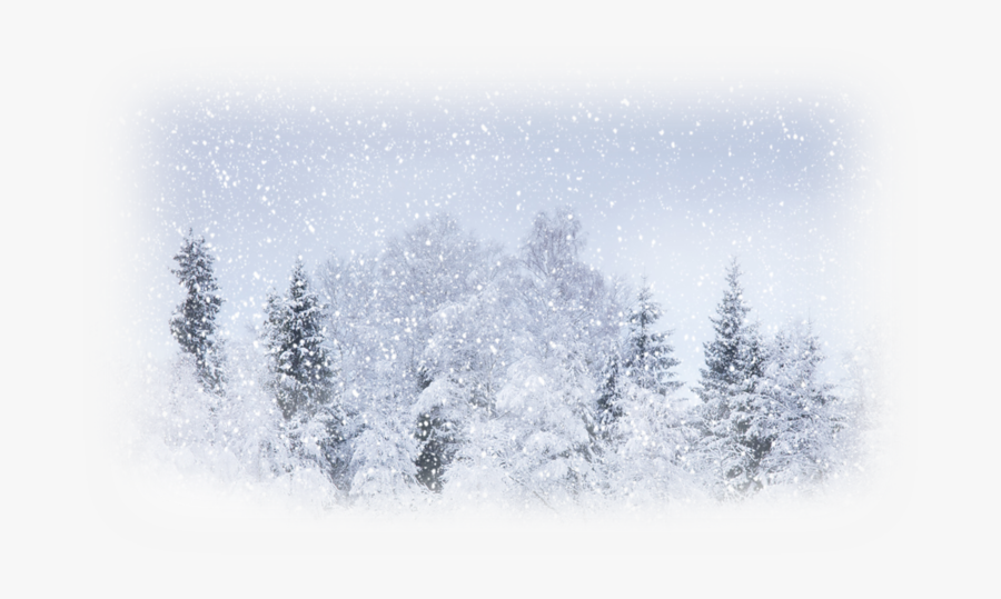 Snow Weather Winter Storm Blizzard - Background Images Of Snow, Transparent Clipart