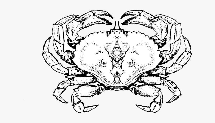 Cancer Crab, Transparent Clipart