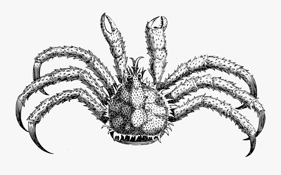 Spiky Crab Clip Arts - Clip Art, Transparent Clipart
