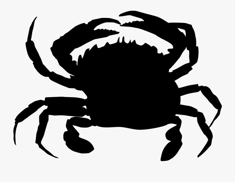 Animal Live Both On Land And In Water, Transparent Clipart