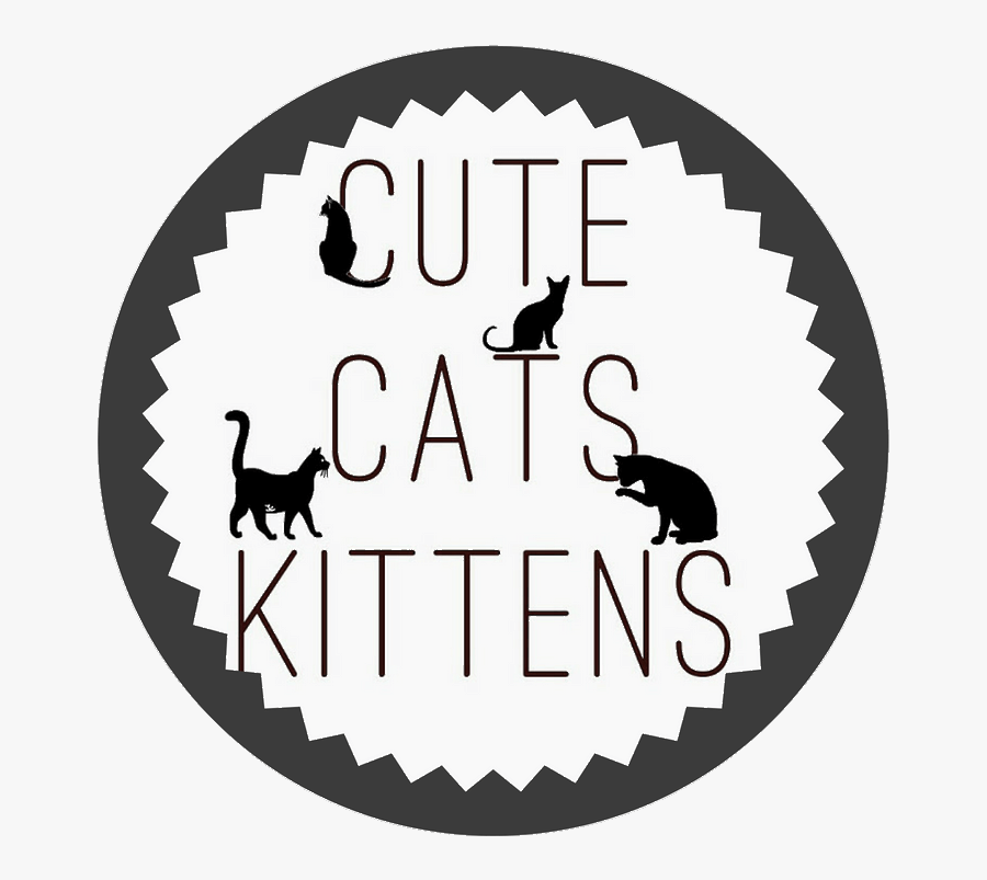 Shoutout On Buysellshoutouts - Teacher, Transparent Clipart