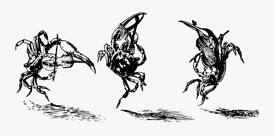 Fiddler Crabs Clip Arts - Clip Art, Transparent Clipart