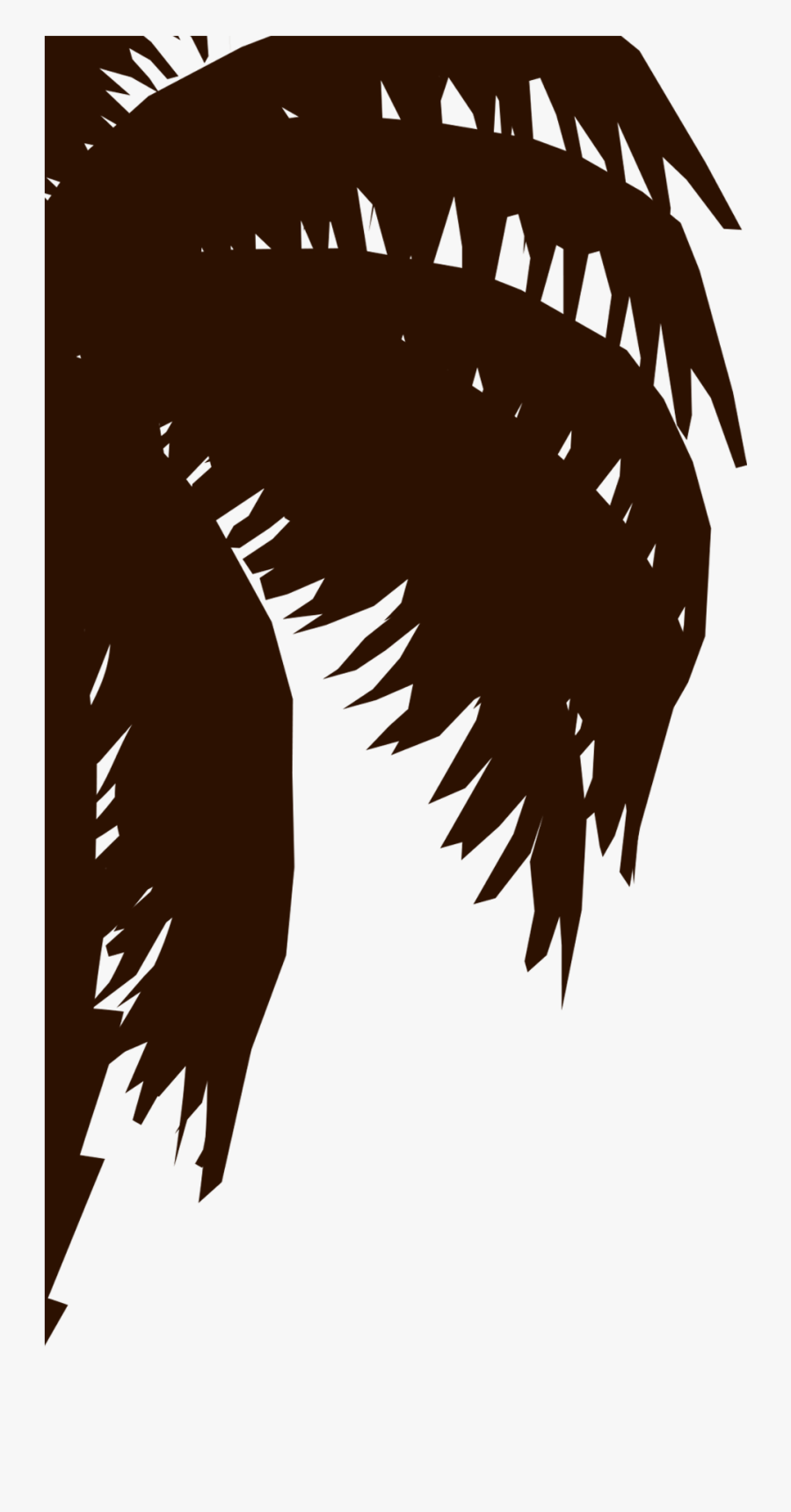 Attalea Speciosa, Transparent Clipart