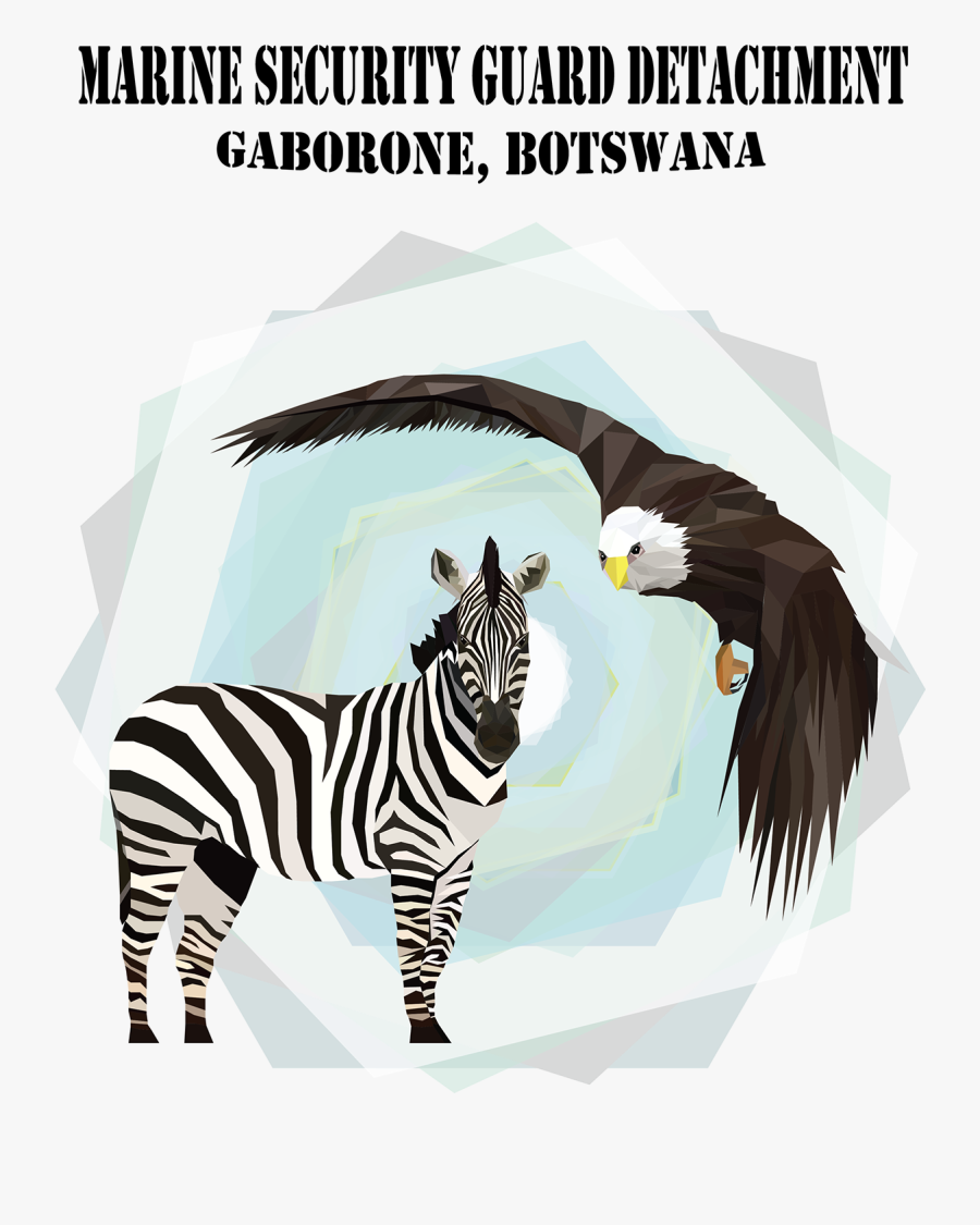 Zebra, Transparent Clipart
