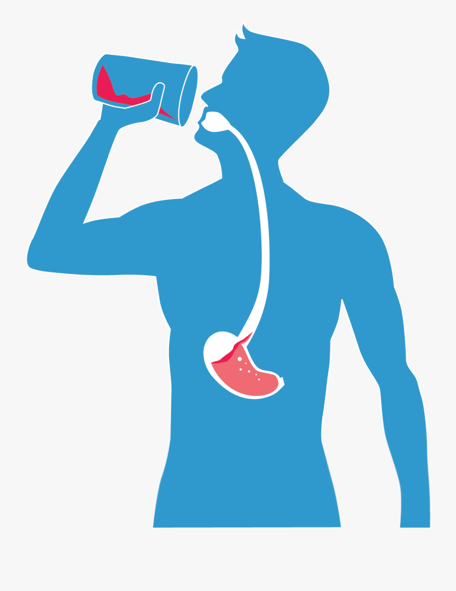 04, Transparent Clipart